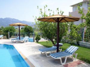 蒂加基金色阳光酒店的一组椅子和遮阳伞,位于游泳池旁