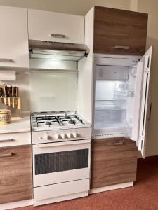 威斯巴登Apartment am Schloss-Park Wiesbaden Biebrich am Rhein的厨房配有炉灶和开放式冰箱。