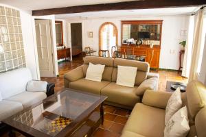 塞内斯德拉韦加Casa Armonía的带沙发和咖啡桌的客厅
