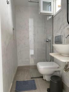 伊奥斯乔拉Zinas pension的一间带卫生间和水槽的浴室