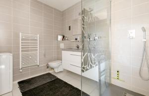 斯特拉斯堡Suite Place de l'Etoile的带淋浴和卫生间的白色浴室