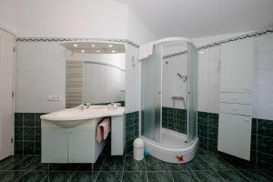 巴尔巴特纳拉布Julija Crnic的一间带水槽和淋浴的浴室