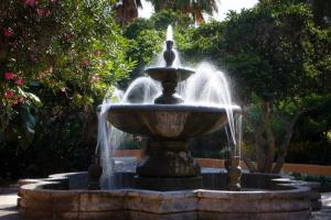 布雷登顿布雷登顿萨拉索塔/湖滨万怡酒店的公园中央的喷泉