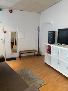 塔林Raekoja Boutique Residence的客厅配有平面电视和沙发。