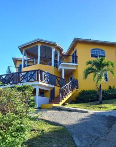 格罗斯岛Bellevue hideaway的一座黄色房子,前面有一棵棕榈树