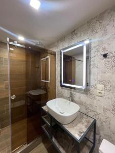 萨克德佐尔镇Apartment VR home terrazza的一间带水槽、镜子和淋浴的浴室
