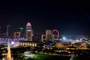 新加坡Peninsula Excelsior Singapore, A Wyndham Hotel的摩天轮在晚上的城市天际线