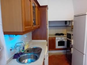 AlmosterRetiro d'Azenha的一间带水槽和冰箱的小厨房