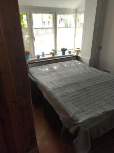 吕讷堡Altstadtnest的一张位于带窗户的房间的床