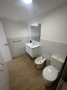 洛斯克里斯蒂亚诺斯Antonio Apartment的一间带卫生间、水槽和镜子的浴室