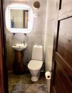 ElbikuHeiniku Home的一间带卫生间、水槽和镜子的浴室