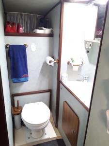 阿普里利亚马利蒂马Boat House Alena的一间带卫生间和水槽的小浴室