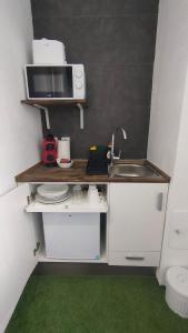 瓦伦西亚Small and Cozy Rooms - G10的一间带水槽和微波炉的小厨房