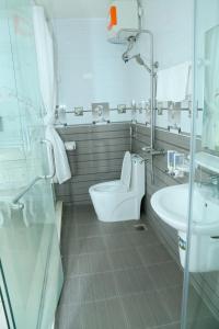 河内Noi Bai Ville Airport Hotel的一间带卫生间和水槽的浴室