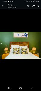 哈博罗内Birdville BNB Guest House的一间卧室配有一张带两盏灯和一堵绿色墙壁的床。