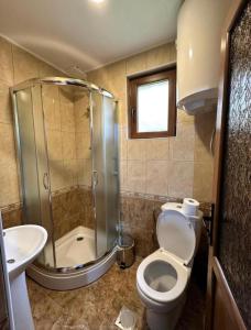 瓦勒博内Residence: Quku i Valbones的带淋浴、卫生间和盥洗盆的浴室