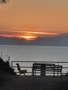 尼坡帝Casa Olena的日落时在海洋前的长凳