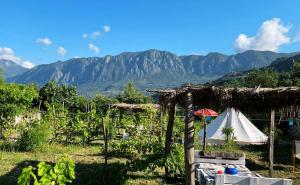 威尔帕扎Ljubicani Village Glamping的一座带帐篷和山脉的农场