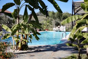 卡萨尔韦利诺伊尔波佐农家乐的一座树木繁茂的庭院内的游泳池