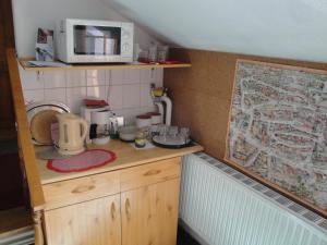 索普隆Guest house Ringhofer Vendégház的带微波炉的柜台的小厨房