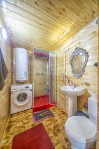DandaloForest House的浴室配有卫生间水槽和洗衣机。