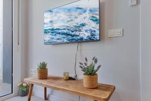 福恩吉罗拉Angelica's Home Fuengirola的挂在墙上的电视,桌子上挂着两株植物