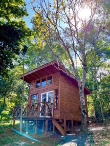 伊瓜苏港Blusky Lodge的树林里的木头小屋