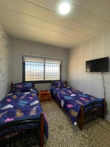 杰拉什Abu Hossam s chalet的客房设有两张床和一台平面电视。