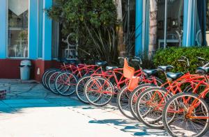 圣米格尔-德尔蒙特Posada Suiza by Prima Collection的停在大楼前的一排红色自行车