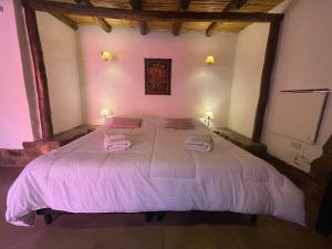 蒂尔卡拉Posada Con Los Ángeles的一间卧室配有一张大床和两条毛巾