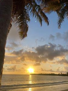 法哈多Sunrise Cottage的棕榈树海滩上的日落
