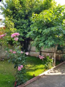 内塞伯尔Nikoli - Nesebar Traditional House的种有粉红色花卉和树木的花园