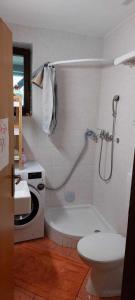 佐尔尼耶戈迪Apartma Anja的带浴缸、卫生间和淋浴的浴室。