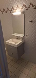 滨海苏拉克霍特斯阿列侬酒店的一间带水槽和镜子的浴室