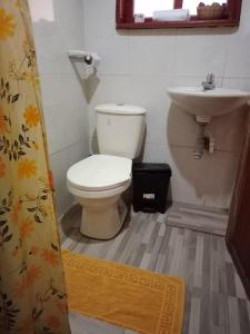 阿基塔尼亚Casa Rural Zaba Lago de Tota的一间带卫生间和水槽的浴室