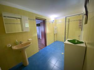 伯伊莱海尔库拉内Casa Aura的一间带水槽、卫生间和镜子的浴室
