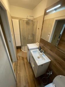斯维特Apartmán Gréner的浴室配有白色水槽和淋浴。
