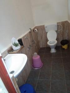 哈夫洛克岛Havelock Farms Resort的一间带卫生间和水槽的浴室