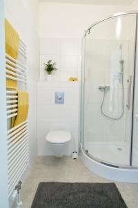 EbenthalWeinlandMotel的带淋浴和卫生间的白色浴室