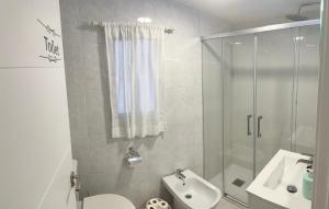 格拉纳达Luna Centro 5 habitaciones的浴室配有卫生间、盥洗盆和淋浴。