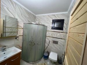 特拉布宗Zambula bungalov的带淋浴、卫生间和盥洗盆的浴室
