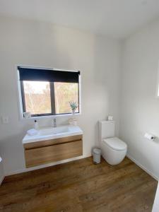 亚历山德拉Springvale Apartment的一间带卫生间、水槽和窗户的浴室