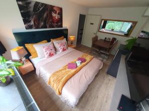 阿纳姆Immerloopark B&B的卧室享有高空美景,配有一张大床