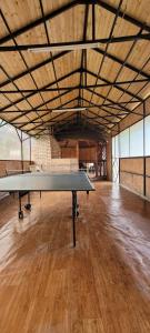布朗Vila Denisa的大客房铺有木地板,配有乒乓球桌
