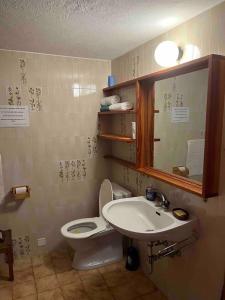 法伊多Appartamento accogliente di montagna a Cavagnago的一间带卫生间、水槽和镜子的浴室
