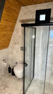特拉布宗Kartal Yuvası Tatil Köyü的一间带卫生间和玻璃淋浴间的浴室