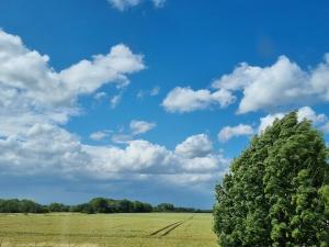 DucherowScheune in Ostseenähe auch mit Pferd的一片蓝天云的田野中的树
