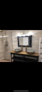 GrisollesSecret de campagne Spa的浴室设有1个带水槽和淋浴的台面