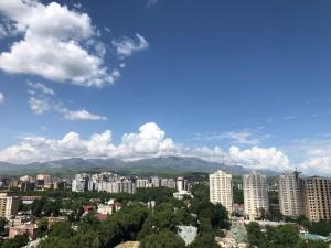 杜尚别Dushanbe City View Apartment的享有拥有建筑和山脉的城市美景