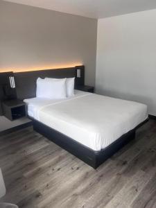 奥兰多奥兰多6号汽车旅馆 - 冬季公园的一间卧室配有一张带白色床单的大床